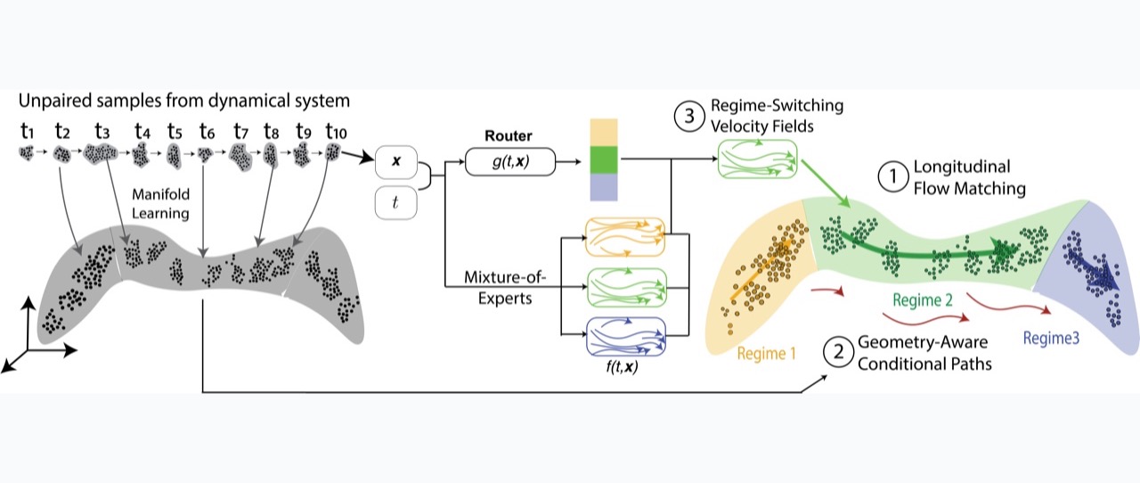 FLUX: geometry-aware longitudinal flow matching with mixture of experts
