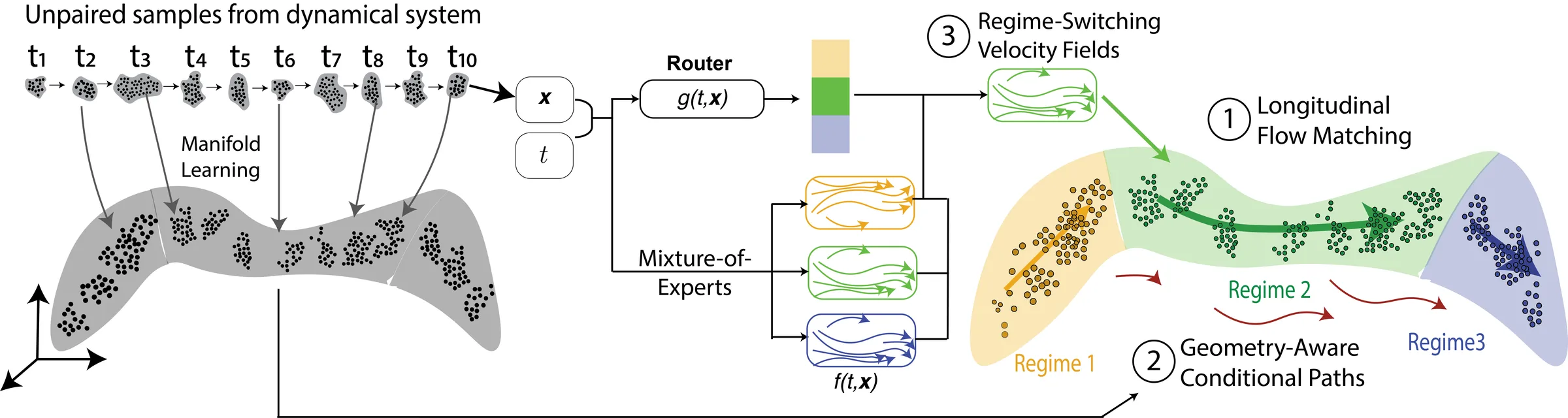 FLUX overview. Unpaired samples at ten time points are embedded by manifold learning; a router g(t, x) weights a mixture of expert velocity fields f(t, x); longitudinal flow matching along geometry-aware conditional paths reveals three regimes on the manifold.